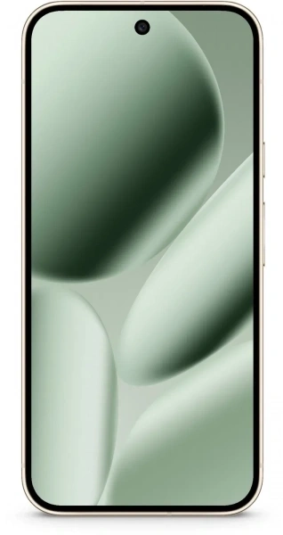 Смартфон Google Pixel 10 Pro 16/256Гб, Нефритовый (CA/GB). Фото 2