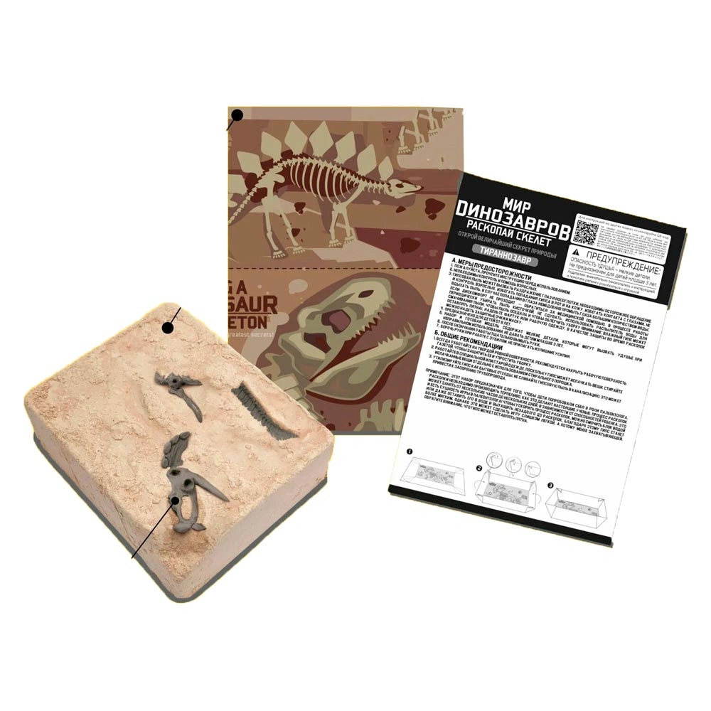 Набор 4M Скелет Тираннозавра 00-03221. Фото 3