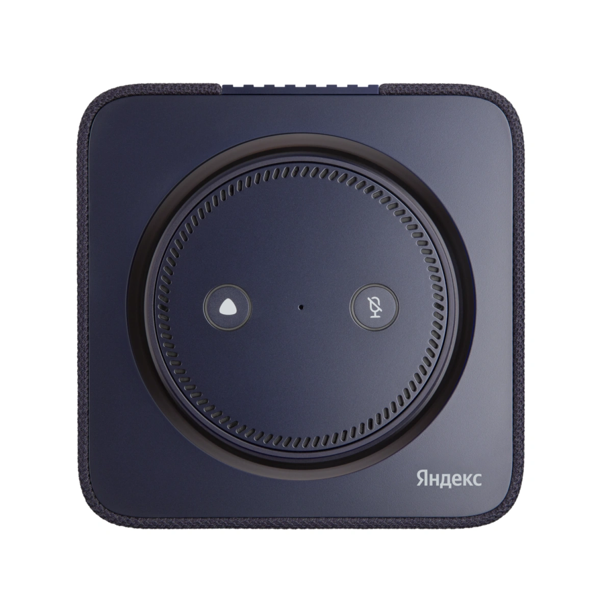 Умная колонка Яндекс.Станция MAX с Zigbee, Синяя (YNDX-00052B). Фото 2