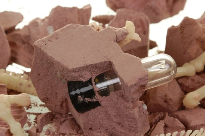 Набор 4M Оживи динозавра. ДНК Тираннозавра 00-07002. Фото 3