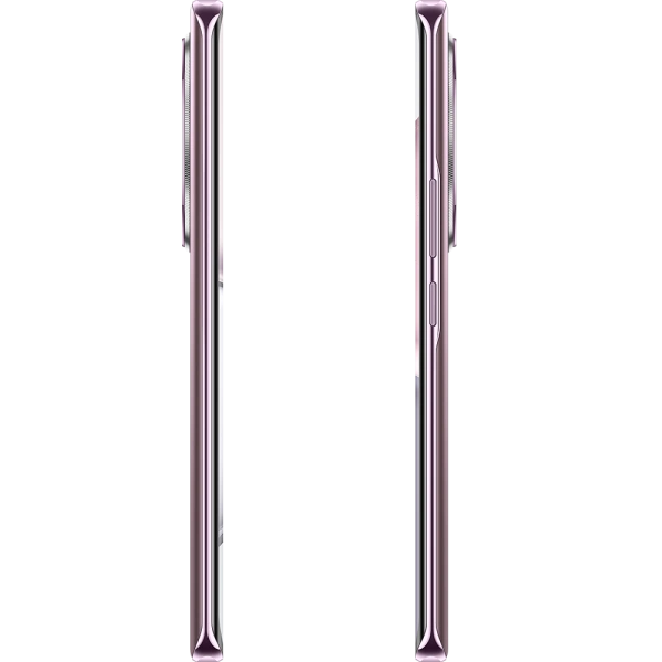 Смартфон Honor X9c 8/256Гб Титановый фиолетовый (BRP-NX1). Фото 10