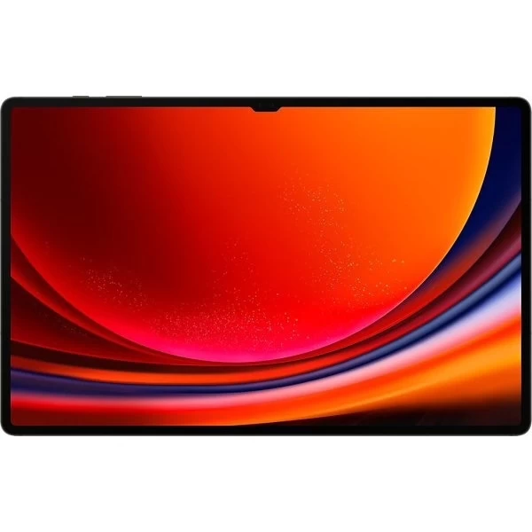 Samsung Galaxy Tab S9 Ultra 5G SM-X916 12/512Gb, Graphite