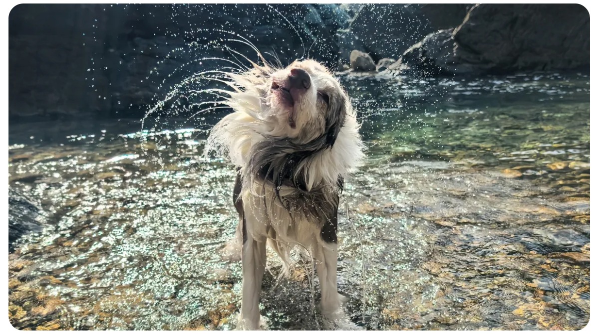 Huawei-Pura-70-Pro-06